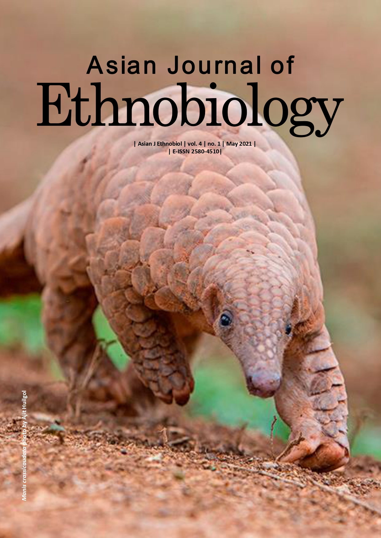 Review: Ethno-zoological study of animals-based medicine used by  traditional healers of North-east India | Asian Journal of Ethnobiology