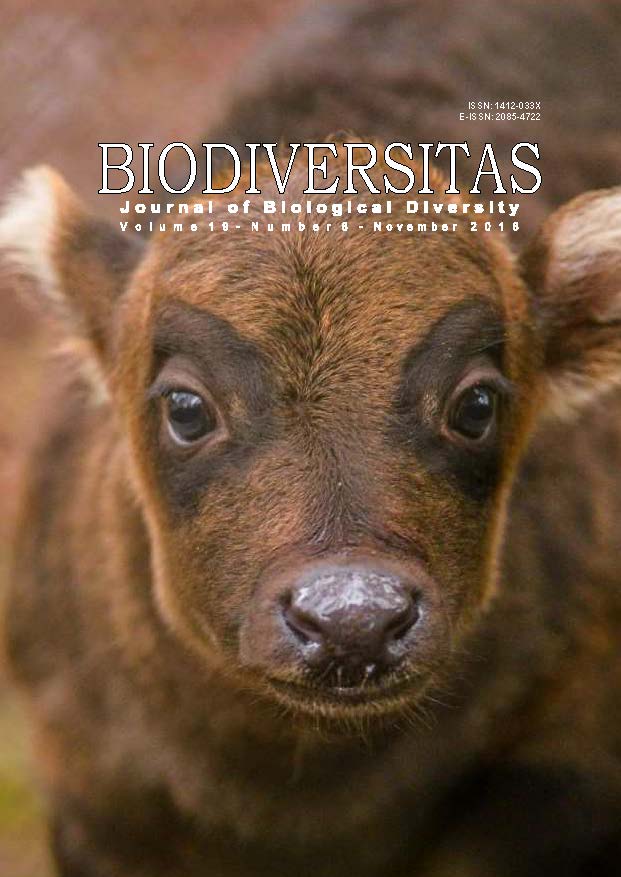 Mass vegetative propagation of rare and endangered tree species of  Indonesia by shoot cuttings by KOFFCO method and effect of container type  on nursery storage of rooted cuttings | Biodiversitas Journal of