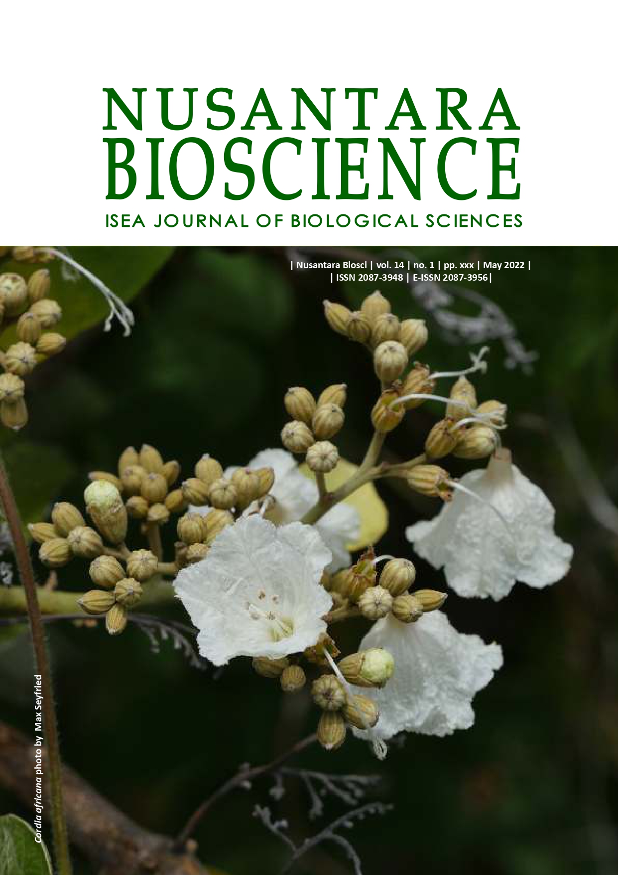 Nusantara Bioscience