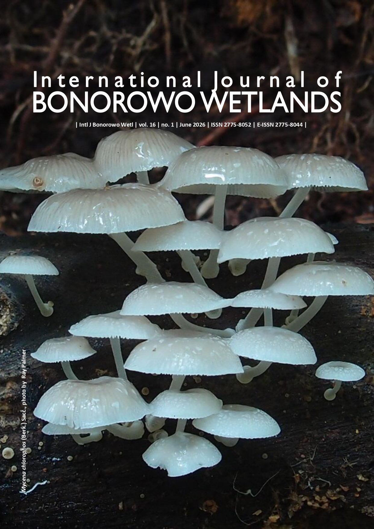 International Journal of Bonorowo Wetlands