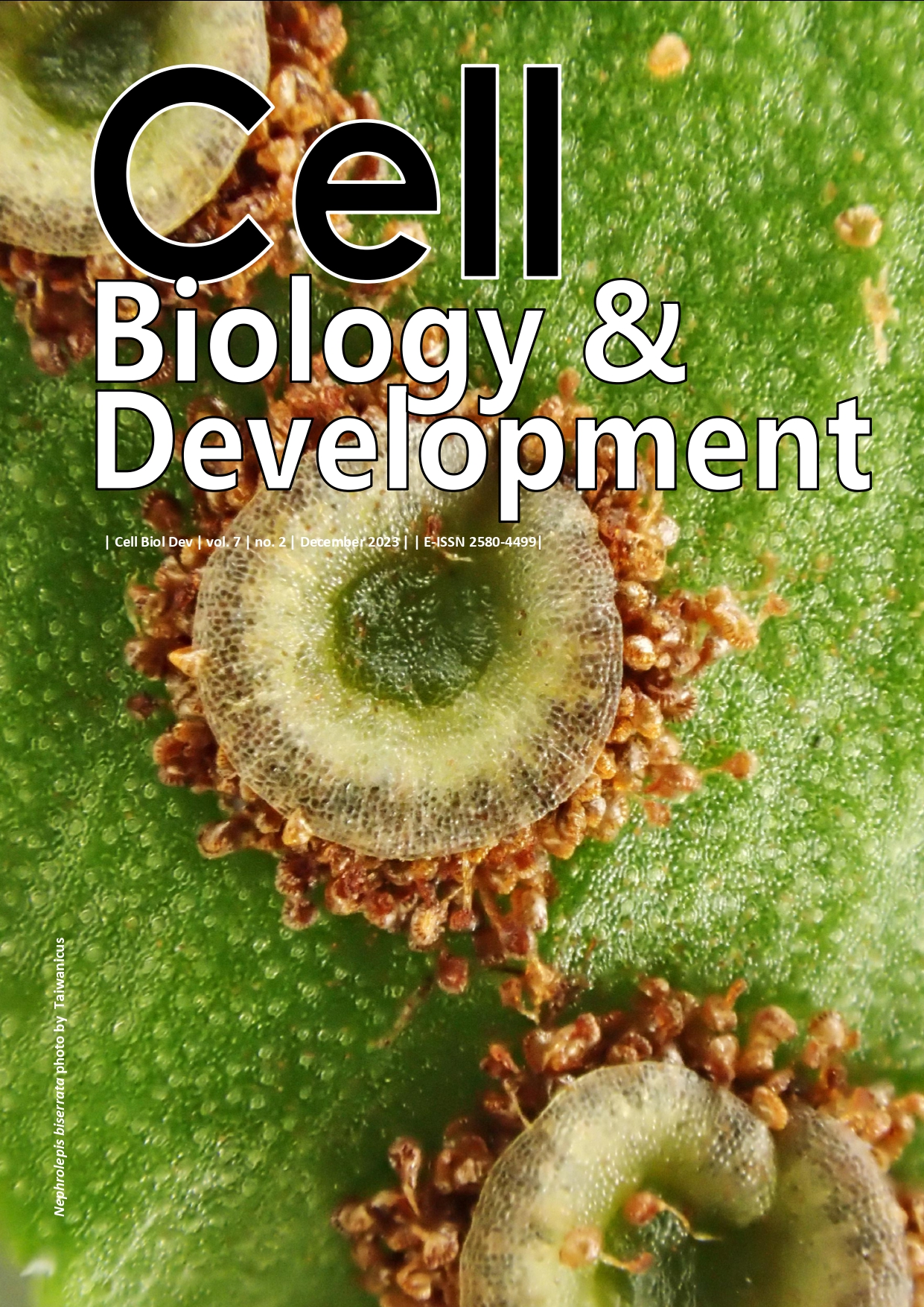 Cell Biology and Development